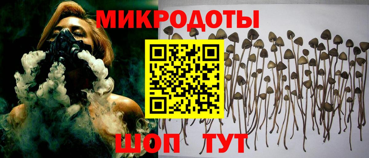 Верхняя Пышма  Псилоцибиновые грибы мухоморы  закладка  Вход с VPN 